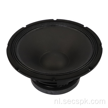 15-inch krachtige podium- / concertluidspreker